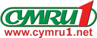 logo picture