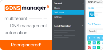 DNS Manager