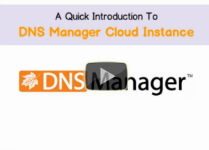 4psa dns manager